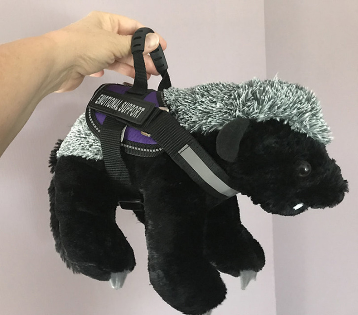 Emotional Support Honey Badger