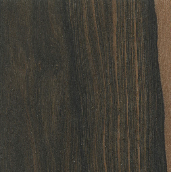 Ebony Dark Outlook For Dark Woods? The Wood Database