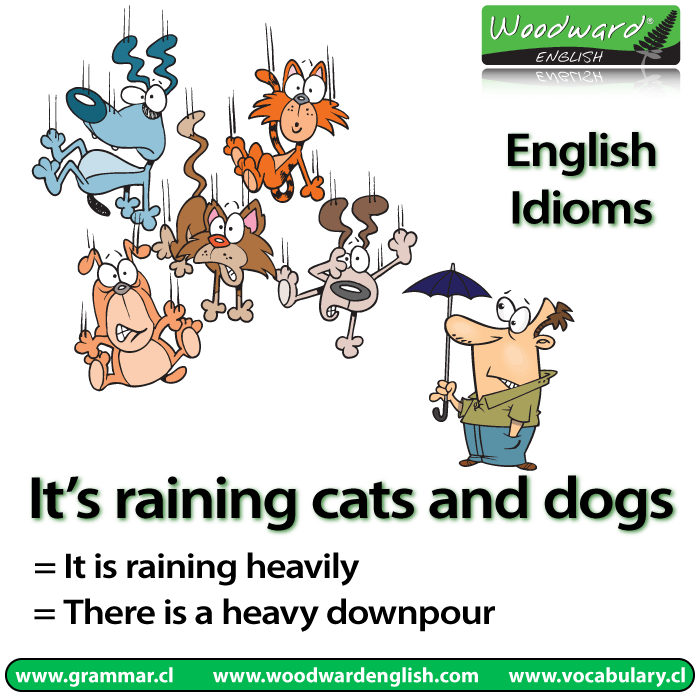 Idioms Quotes. QuotesGram