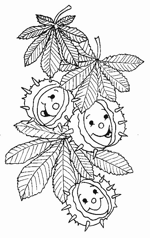 En automne les marrons
