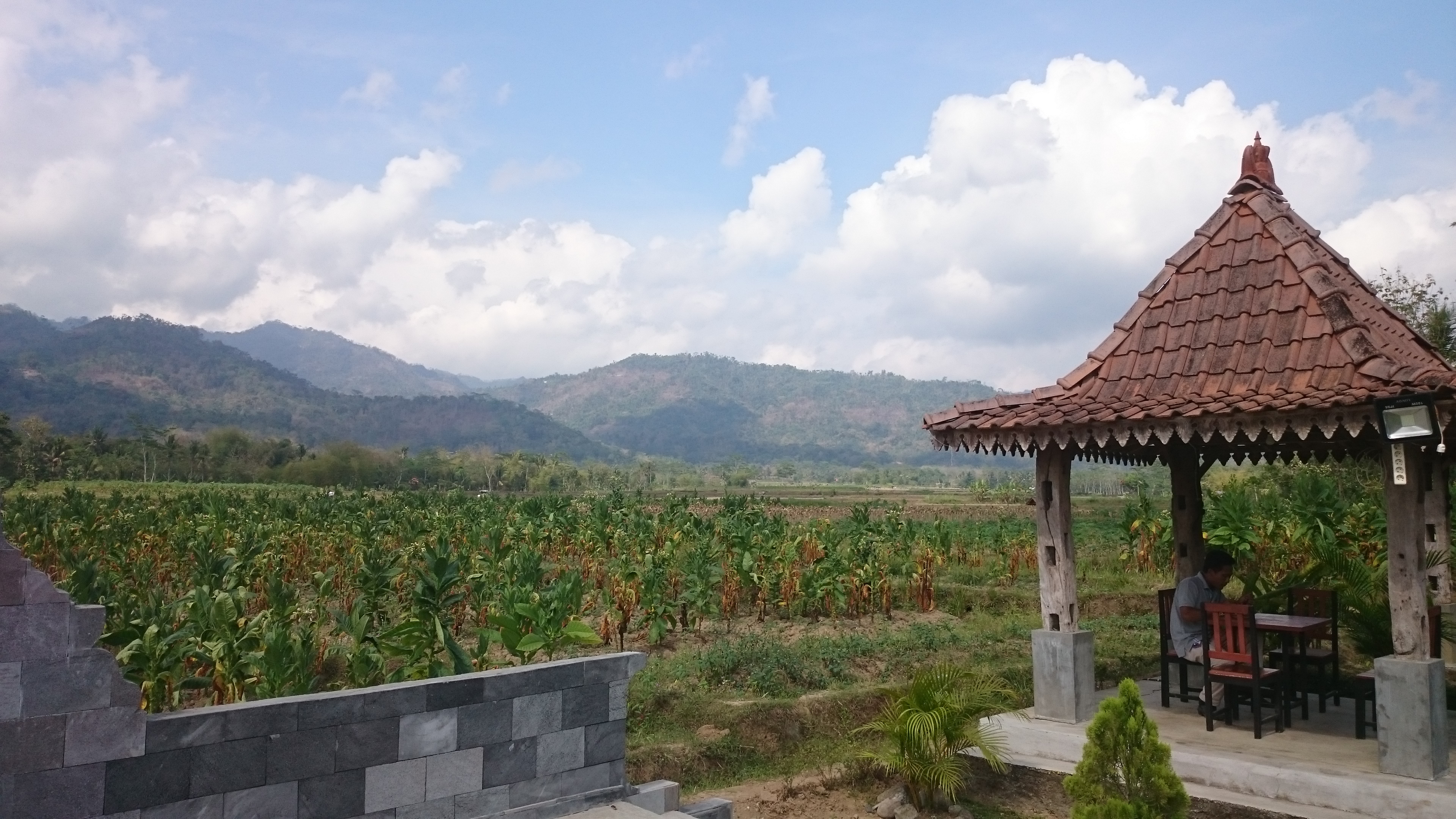 Berkah Balkondes Karangrejo, Yunianti Kini Tak Perlu Lagi