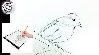 Ensenanza Jurisdiccion Texcoco Elaboracion De Croquis