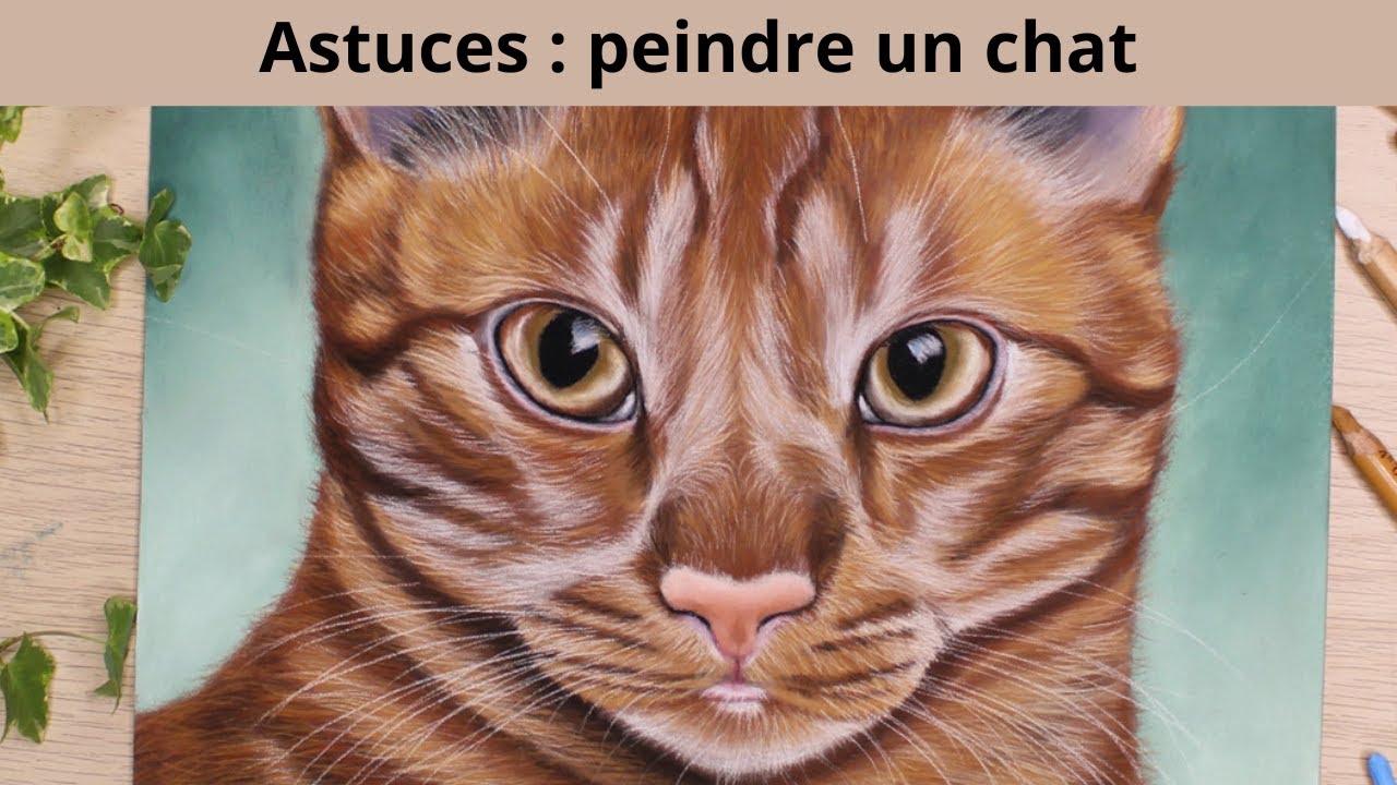 J'apprends à dessiner un chat Création dessin