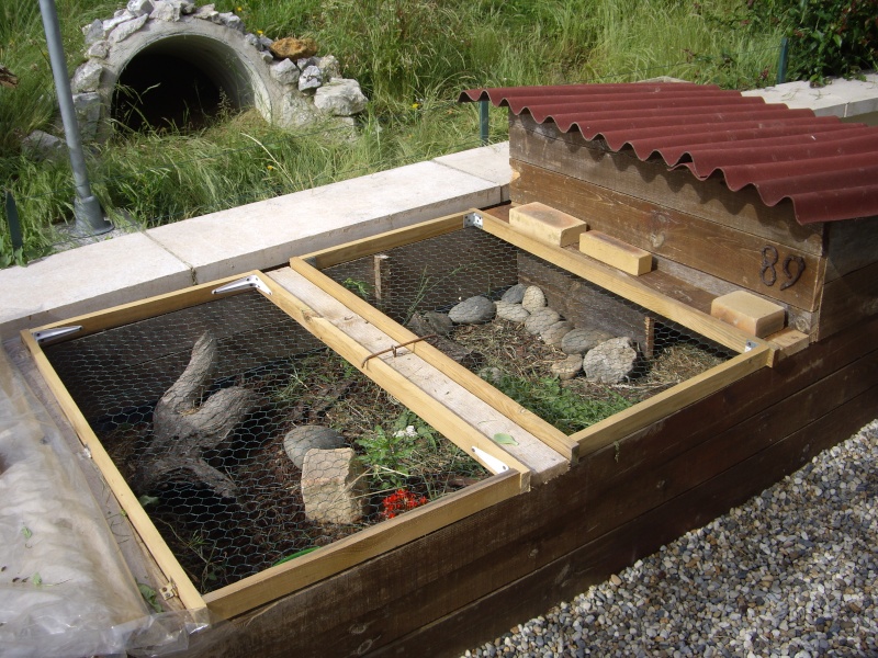 Cabane pour tortue Literie sur EnPerdreSonLapin