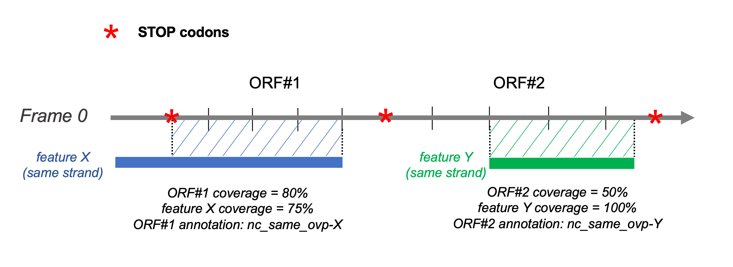 Overlap definition ORFmine Documentation