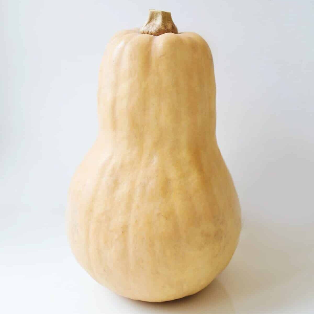 Is Butternut Squash Low FODMAP? Nosh Nourish Wander