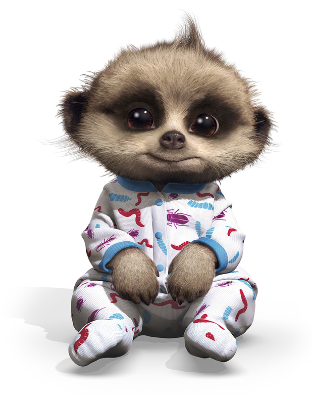 Baby Oleg ) Baby meerkat, Cute animals, Meerkat