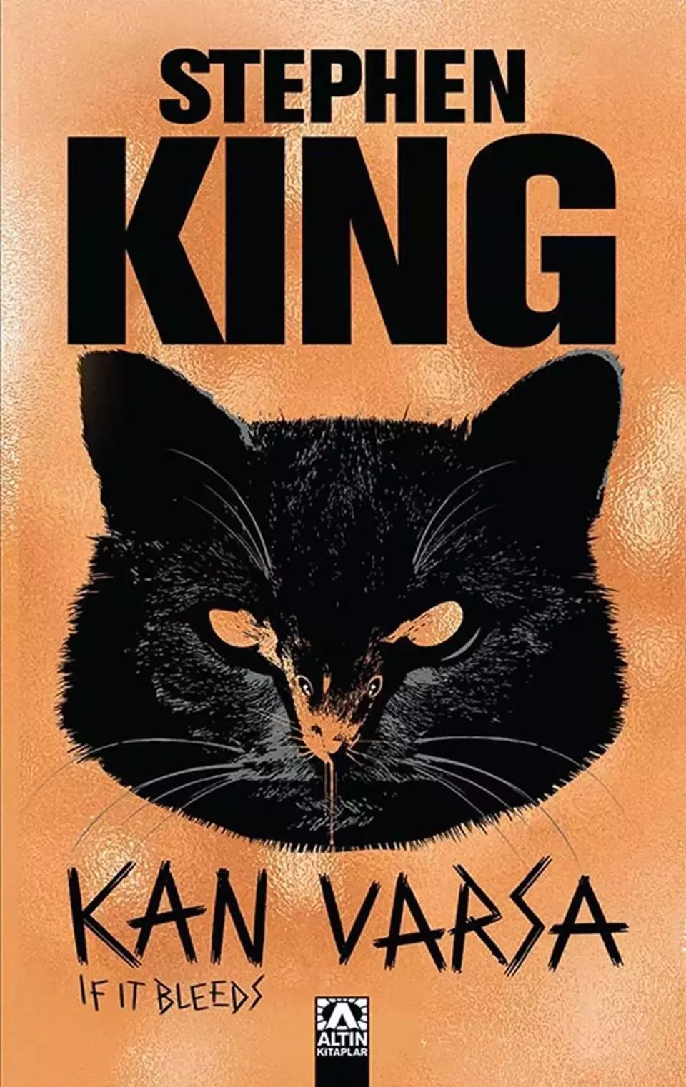 Stephen King'in yeni kitabı Kan Varsa yayınlandı Kültür Haberleri
