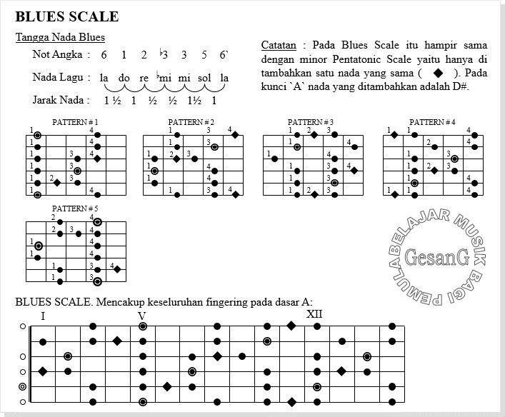 Tangga Nada Untuk Gitar dan Ulasan Progress Chord Juga Melodi Dasar