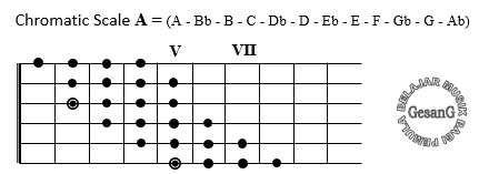 Melodi Gitar | Dibahas Rinci Dari Beberapa Scale Gitar