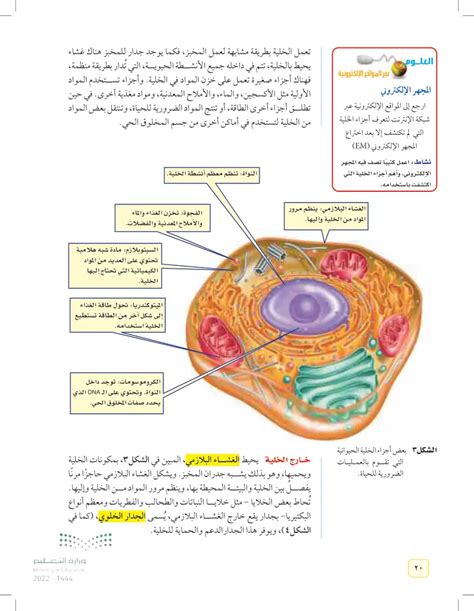 أي جزء يحدث في خلية نباتية وليس في خلية حيوانية؟ - موسوعة المناهل أي جزء يحدث في خلية نباتية وليس في خلية حيوانية؟ - موسوعة المناهل
