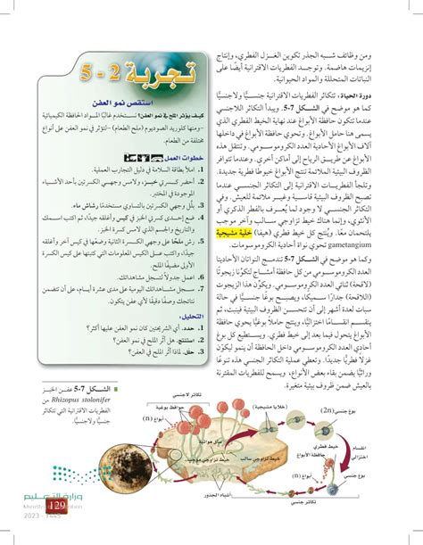  أي من أنواع الفطريات التالية يحتوي على جراثيم جلدية؟  - شبكة اجاز