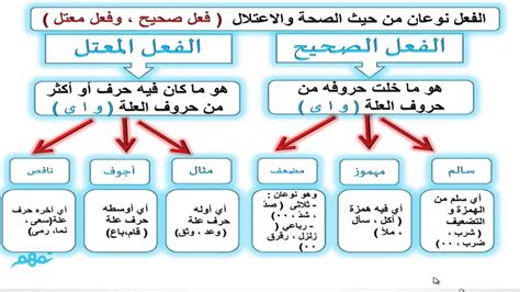  أي من الأفعال مكتوبة بشكل صحيح؟  - بيت العلوم