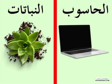 إنني أقارن. كيف تختلف النباتات عن الكمبيوتر؟ إنني أقارن. كيف تختلف النباتات عن الكمبيوتر؟