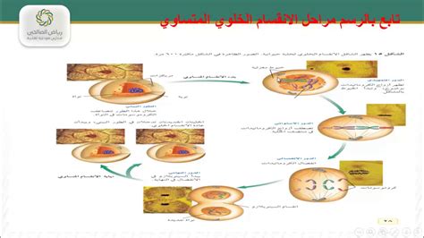  إنها إحدى طرق التكاثر اللاجنسي التي يتم فيها إنشاء أفراد جدد من خلال نمو الفرد على جسم أحد الوالدين.  تجزئة.  تبرعم.  التوالد العذري.  - افضل جواب
