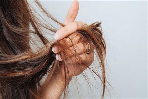  احذر من نتف الشعر فهذه النتائج!  |  موقع اخبار المواطن السعودي ...