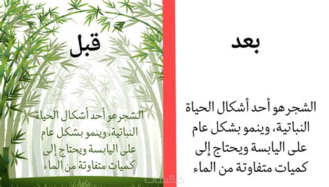  استخراج ثلاث من فوائد الكلام؟  - الصفحة المطلوبة