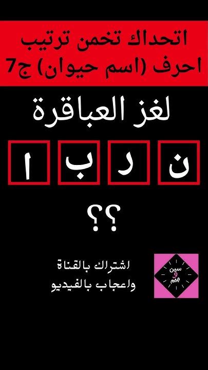  اسم معناه حصان أصيل بأربعة أحرف - حياتي |  سؤال وجواب |  أسئلة الحياة ...