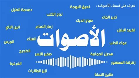  اسماء الاصوات فى اللغة العربية |  الشبكة