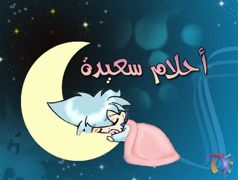  التحدي في المنام |  ليلة سعيدة