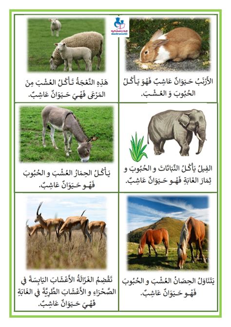  الحيوانات ليست بالضرورة ذاتية التغذية.  True False - موقع أساتذتي