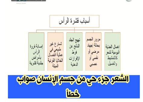  الشعر جزء حي من جسم الإنسان.  صحيح خطأ - أنت تعرف ذلك بشكل صحيح
