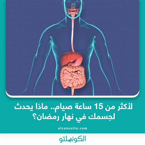  الصيام أكثر من 15 ساعة ماذا يحدث لجسمك في نهار رمضان؟  - وحدة التحكم