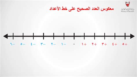  العدد الصحيح الموضح على خط الأعداد هو 3؟  صفحة مساعدتي