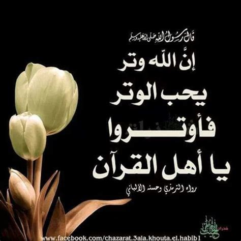** الله وتر ويحب الحبال ** أرشيف - منتديات مشكاة