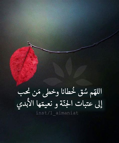 اللهم اجمعنا مع من .. - إلى جنات الخلود رفيق الجنة - بدور | فيسبوك اللهم اجمعنا مع من .. - إلى جنات الخلود رفيق الجنة - بدور | فيسبوك