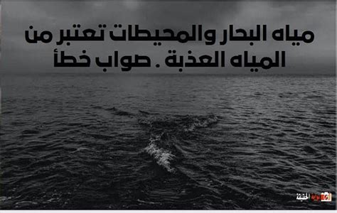  المياه الراكدة هي مياه البحار والأنهار.  صواب أم خطأ - التفكير الواعي