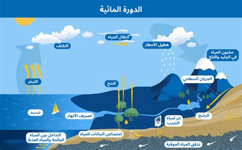  المياه الملوثة هي المياه التي تغير لونها أو طعمها أو رائحتها بسبب الملوثات مثل - حياتي |  سؤال وجواب