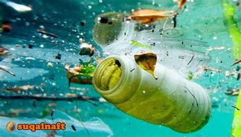  المياه غير النقية هي المياه التي تغير لونها أو طعمها أو رائحتها بسبب التلوث.  - صدر