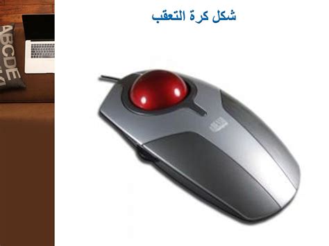  تبدو كرة التعقب وكأنها فأرة مقلوبة.  صحيحة أو خاطئة.  - منصة المعرفة