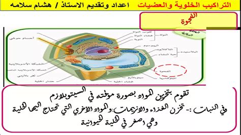  تتمثل وظيفة الخلية شبه القابلة للنفاذ (القابلة للنفاذ بشكل انتقائي) في السماح لبعض المواد بالمرور والخروج من الخلية مع منع الآخرين من المرور.  - عقل ذكي