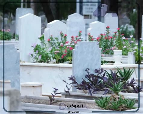  حرب في المنام  4 إشارات لابن سيرين للتخلص منها - مؤشر الصافي
