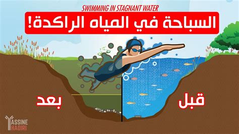  حل المياه الراكدة هو مياه البحار والأنهار.  محلول