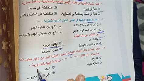  حل مسألة الحيوانات غير ذاتية التغذية بالقوة.  الصحيح خطأ - solubilizer