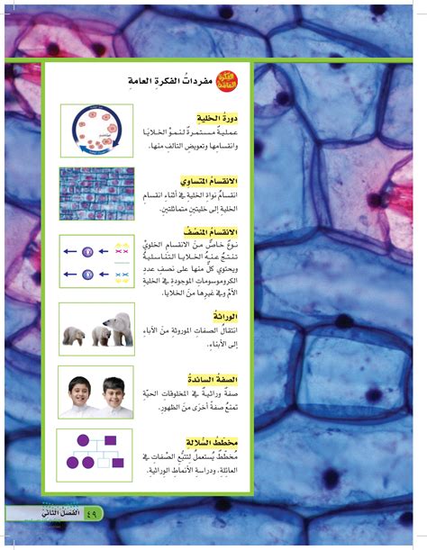  حل مسألة كائن متعدد الخلايا يمكن لأعضائه جميعًا صنع طعامهم.  - نور العالم