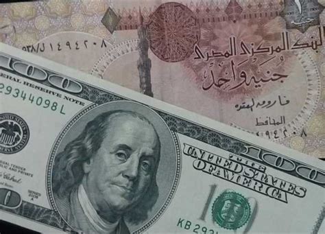  حوِّل الدولار الأمريكي إلى الجنيه المصري |  تحويل العملات