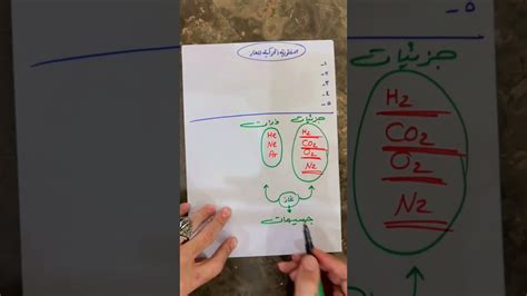 خواص الغازات ومخاليط الغازات المستخدمة في الغوص. تؤثر عناصر ميكانيكا الغاز على كثافة الغاز - kerchtt.ru خواص الغازات ومخاليط الغازات المستخدمة في الغوص. تؤثر عناصر ميكانيكا الغاز على كثافة الغاز - kerchtt.ru