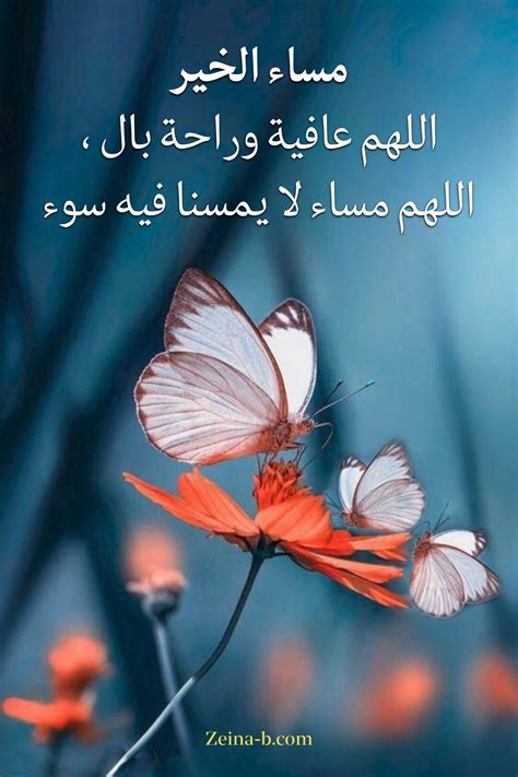  دعاء مساء الخير بالصور - عالم الصور |  مساء الخير .. - بينتيريست