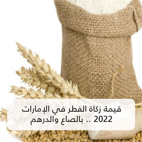  زكاة الفطر في الإمارات - أنواعها وأحكامها وشروطها وقيمتها وأكثر |  بيتي - بيوت
