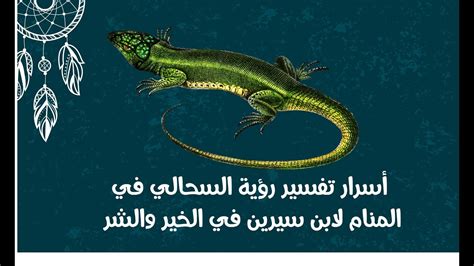  سحلية في المنام للمرأة العازبة |  ليلة سعيدة