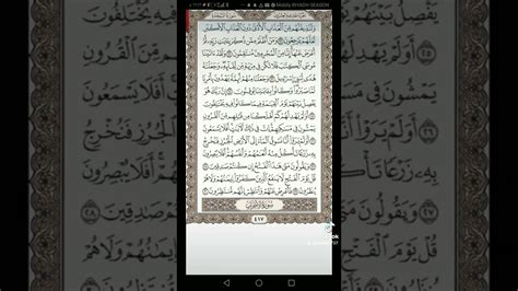  سورة السجدة واجبة على الشيعة |  شخصيه كينغ كونغ