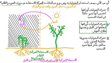  شرح الحركة التعليمية في النباتات |  نجوى