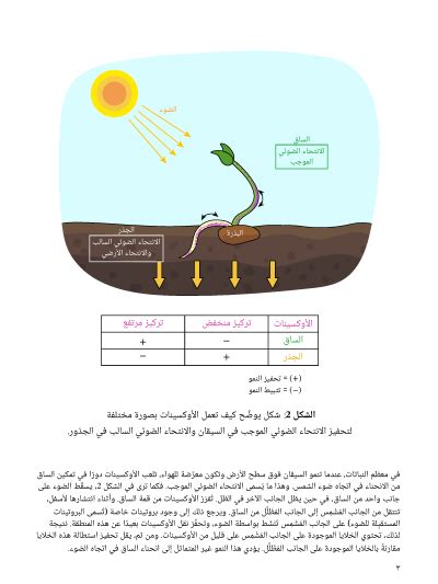  شرح الدرس الهرمونات في النباتات  نجوى