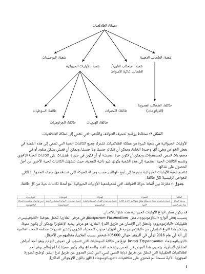  شرح درس مملكة الرواد  نجوى