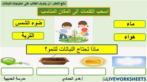  عندما تقوم النباتات بإعداد الطعام، فإنها تطلق غازًا في الهواء يسمى؟  اسألنا الموقع