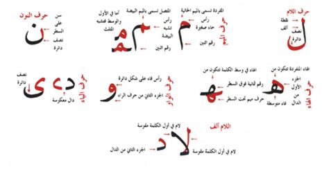  عندما تكتب (لـ، لا) بخط النسخ، فلا يوجد جزء منه مكتوب تحت السطر.  - نور العالم